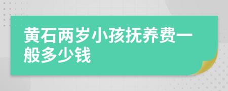 黄石两岁小孩抚养费一般多少钱