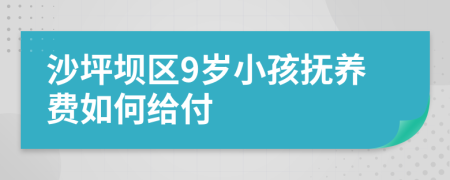 沙坪坝区9岁小孩抚养费如何给付