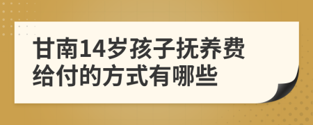 甘南14岁孩子抚养费给付的方式有哪些