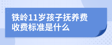 铁岭11岁孩子抚养费收费标准是什么