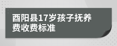 酉阳县17岁孩子抚养费收费标准