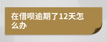 在借呗逾期了12天怎么办