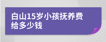 白山15岁小孩抚养费给多少钱