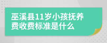 巫溪县11岁小孩抚养费收费标准是什么