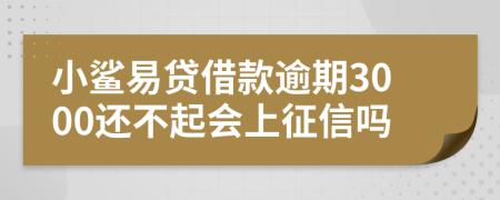 小鲨易贷借款逾期3000还不起会上征信吗