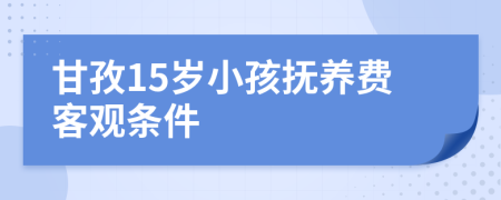 甘孜15岁小孩抚养费客观条件