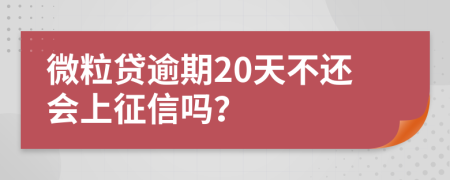 微粒贷逾期20天不还会上征信吗？