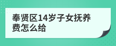 奉贤区14岁子女抚养费怎么给