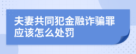 夫妻共同犯金融诈骗罪应该怎么处罚