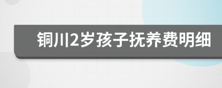 铜川2岁孩子抚养费明细