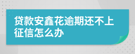 贷款安鑫花逾期还不上征信怎么办
