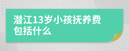 潜江13岁小孩抚养费包括什么