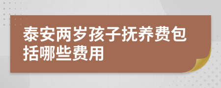 泰安两岁孩子抚养费包括哪些费用