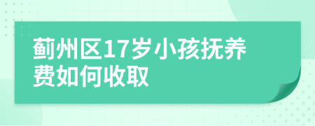 蓟州区17岁小孩抚养费如何收取