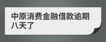 中原消费金融借款逾期八天了