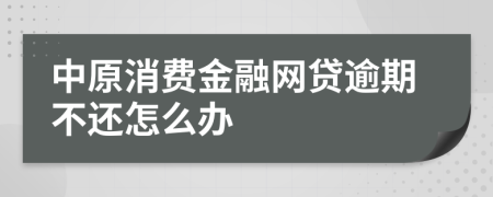 中原消费金融网贷逾期不还怎么办