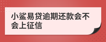 小鲨易贷逾期还款会不会上征信