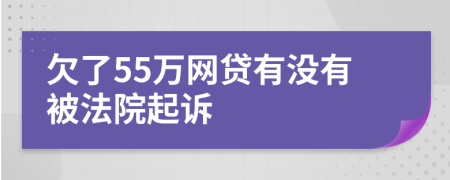 欠了55万网贷有没有被法院起诉