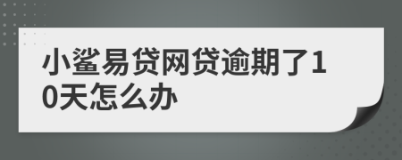 小鲨易贷网贷逾期了10天怎么办