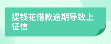 提钱花借款逾期导致上征信