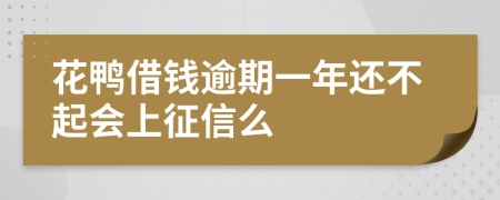 花鸭借钱逾期一年还不起会上征信么