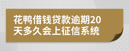 花鸭借钱贷款逾期20天多久会上征信系统