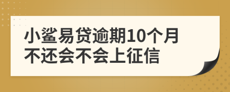 小鲨易贷逾期10个月不还会不会上征信