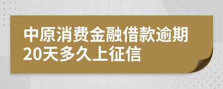 中原消费金融借款逾期20天多久上征信