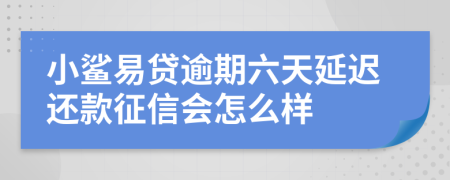 小鲨易贷逾期六天延迟还款征信会怎么样