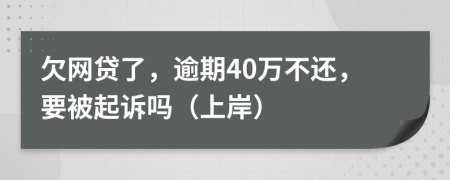 欠网贷了，逾期40万不还，要被起诉吗（上岸）