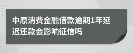 中原消费金融借款逾期1年延迟还款会影响征信吗