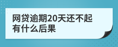 网贷逾期20天还不起有什么后果