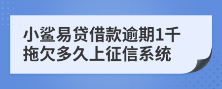 小鲨易贷借款逾期1千拖欠多久上征信系统