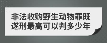 非法收购野生动物罪既遂刑最高可以判多少年