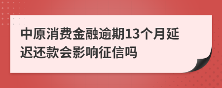 中原消费金融逾期13个月延迟还款会影响征信吗