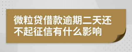 微粒贷借款逾期二天还不起征信有什么影响