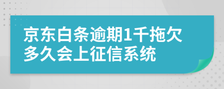 京东白条逾期1千拖欠多久会上征信系统