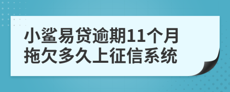 小鲨易贷逾期11个月拖欠多久上征信系统