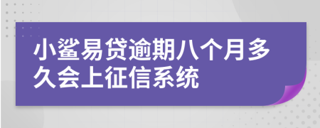 小鲨易贷逾期八个月多久会上征信系统