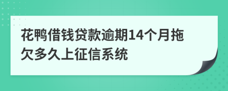 花鸭借钱贷款逾期14个月拖欠多久上征信系统