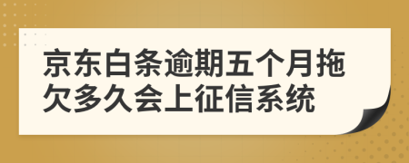 京东白条逾期五个月拖欠多久会上征信系统