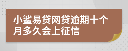 小鲨易贷网贷逾期十个月多久会上征信