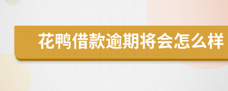 花鸭借款逾期将会怎么样