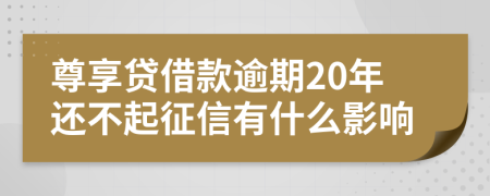 尊享贷借款逾期20年还不起征信有什么影响