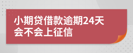 小期贷借款逾期24天会不会上征信