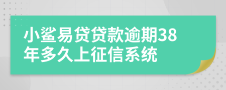 小鲨易贷贷款逾期38年多久上征信系统