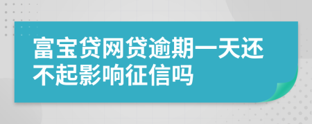 富宝贷网贷逾期一天还不起影响征信吗