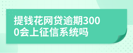 提钱花网贷逾期3000会上征信系统吗