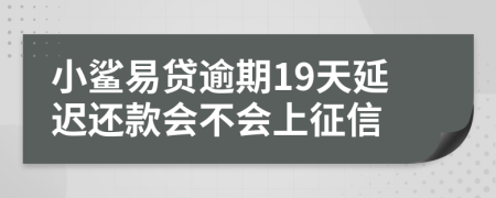 小鲨易贷逾期19天延迟还款会不会上征信