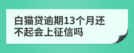 白猫贷逾期13个月还不起会上征信吗